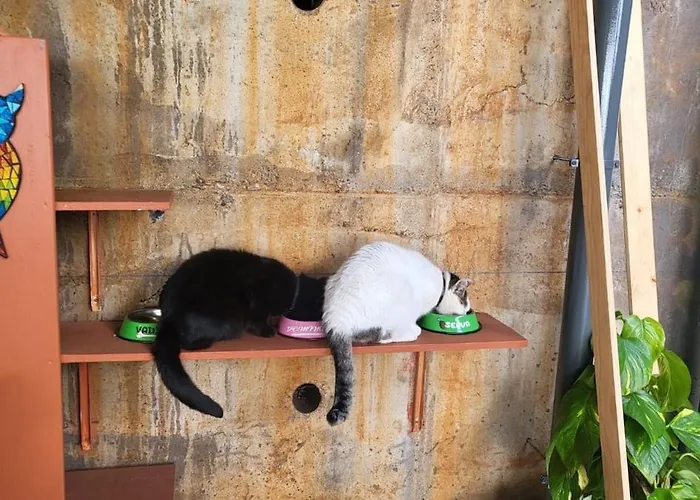 Casamor - Romantic Ocean View Santa Cruz (Madeira)