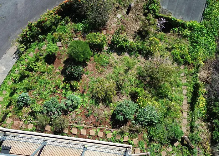 Casamor - Romantic Ocean View *